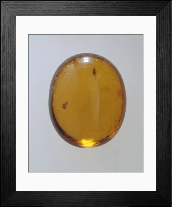 Framed Print : Sicilian amber