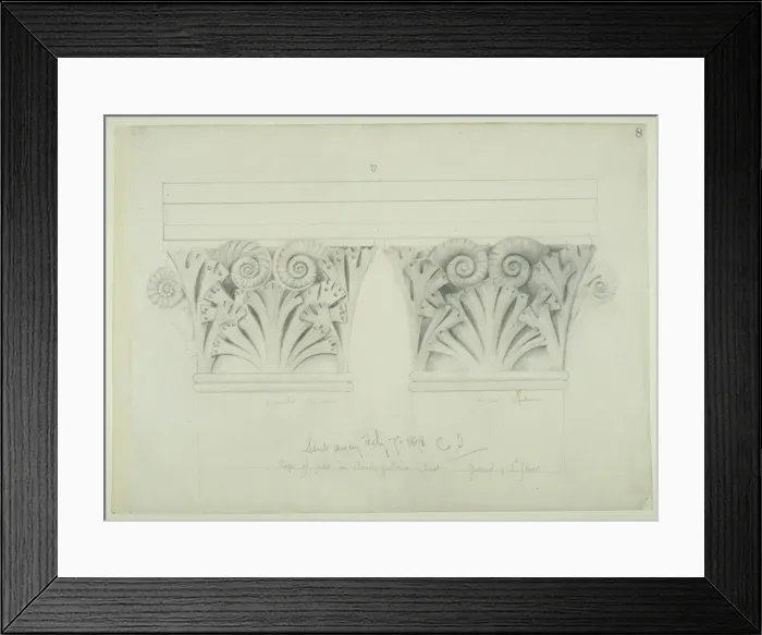 Framed Print : Fossil and plant illustration Framed Print : Fossil and plant illustration