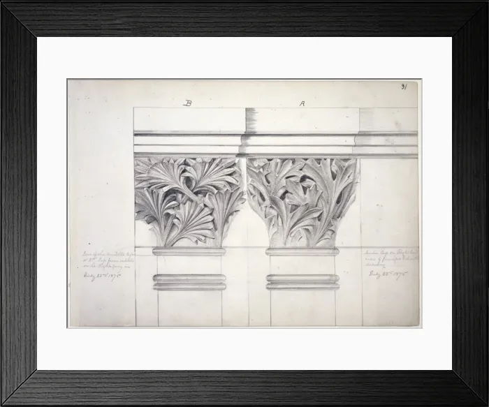Framed Print : Leaves and plant Framed Print : Leaves and plant