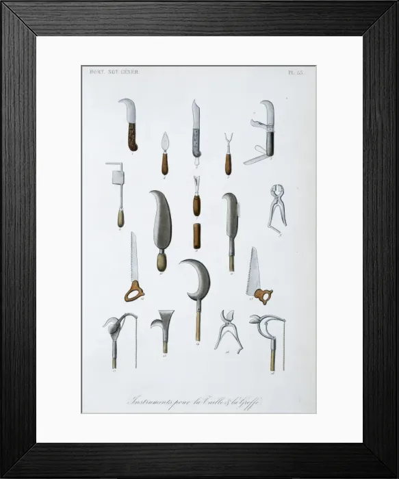 Framed Print : Instruments for measuring size Framed Print : Instruments for measuring size