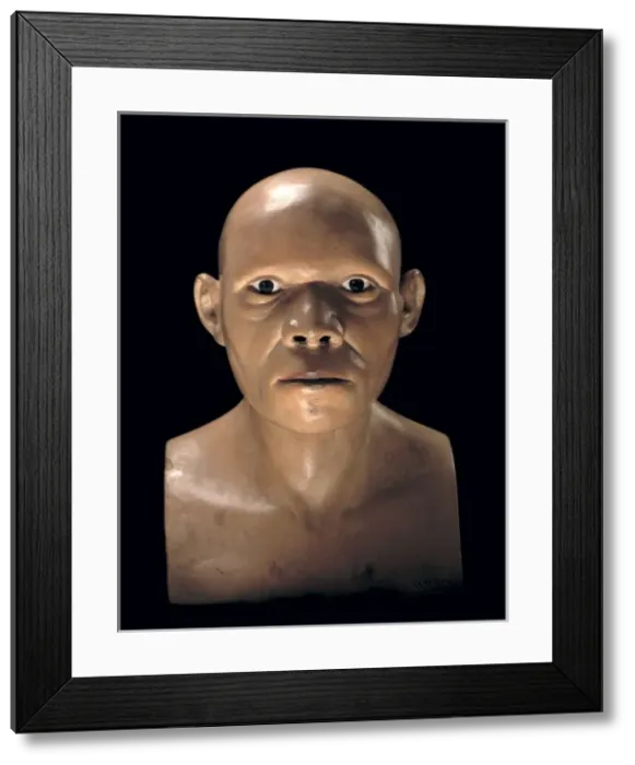 Framed Print : Piltdown Man (Model based on Piltdown 1 & 2) Framed Print : Piltdown Man (Model based on Piltdown 1 & 2)