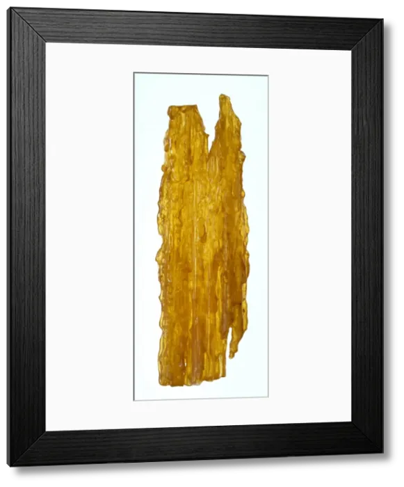 Framed Print : Copal. Stalactite of New Zealand copal locally known as kauri gum Framed Print : Copal. Stalactite of New Zealand copal locally known as kauri gum