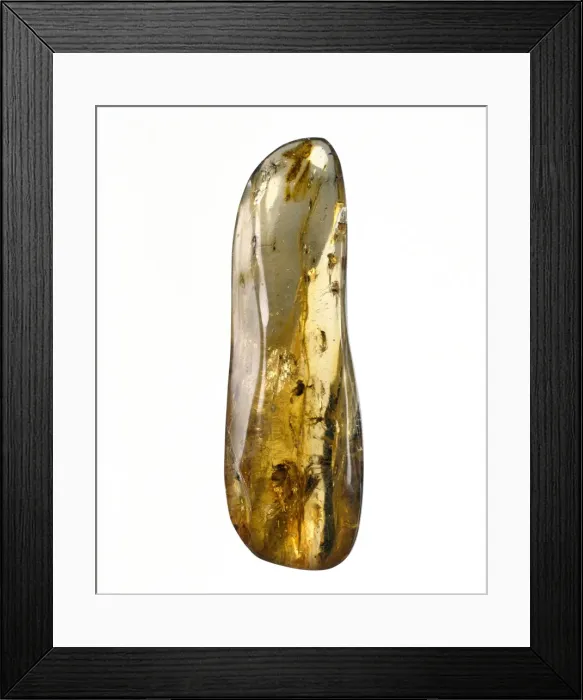 Framed Print : Dominican copal Framed Print : Dominican copal