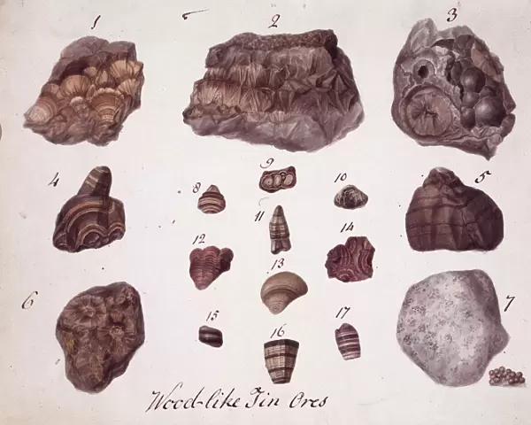 Plate 1 from Specimens of British Minerals? vol. 1 by P. Ras