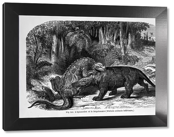 Iguanodon & Megalosaurus