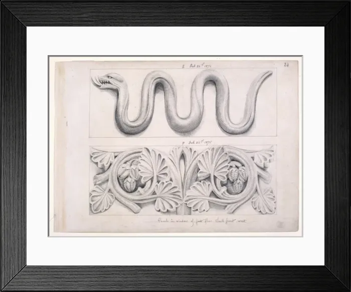 Framed Print : Snake and plant design Framed Print : Snake and plant design