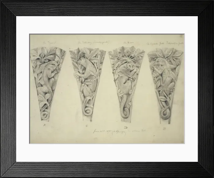 Framed Print : Iguana, delundung, racoon and gecko design Framed Print : Iguana, delundung, racoon and gecko design