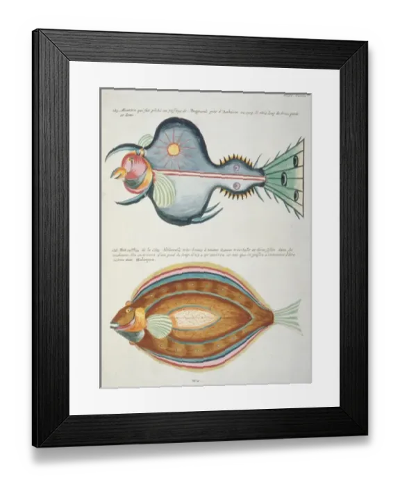 Framed Print : Colourful illustration of two fish Framed Print : Colourful illustration of two fish
