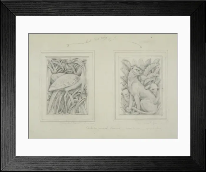 Framed Print : Demoiselle and crane designs