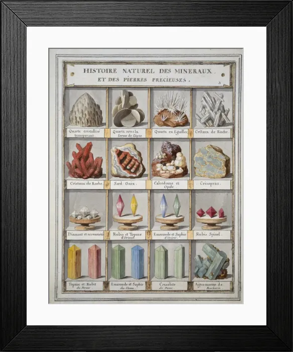 Framed Print : Plate 3a from Histoire naturelle? (1789) Framed Print : Plate 3a from Histoire naturelle? (1789)