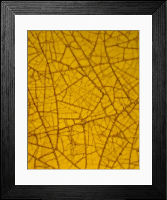 Framed Print : Dominican amber Framed Print : Dominican amber