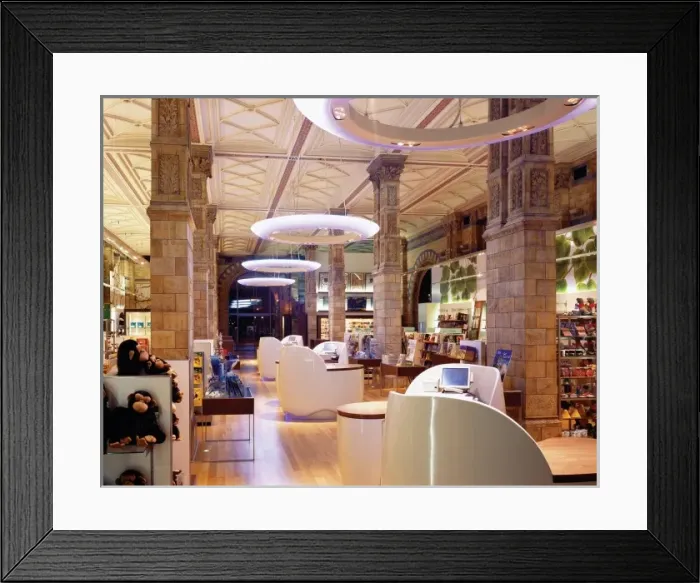 Framed Print : The Natural History Museum Shop Framed Print : The Natural History Museum Shop
