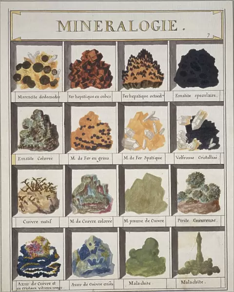 Plate 7a from Histoire naturelle? (1789)