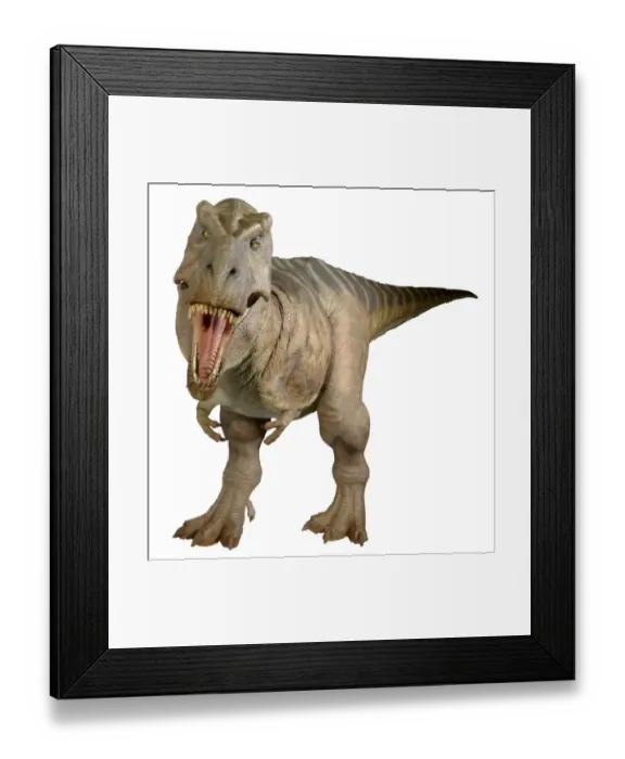 Framed Print : Tyrannosaurus rex Framed Print : Tyrannosaurus rex