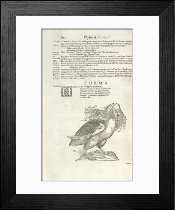 Framed Print : Harpy from Aldrovandis Opera Framed Print : Harpy from Aldrovandis Opera