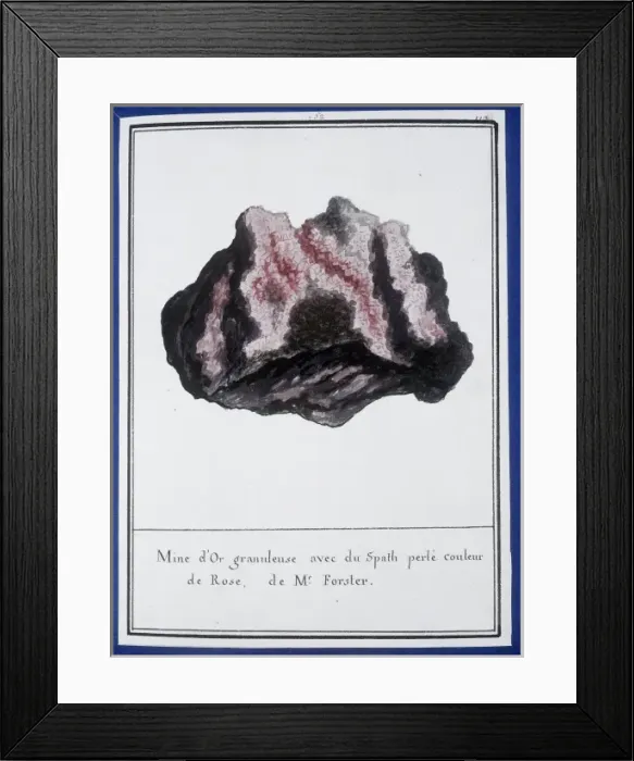 Framed Print : Plate 48 from Mineralogie Framed Print : Plate 48 from Mineralogie