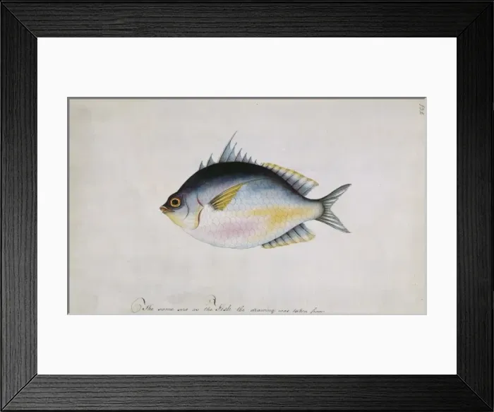 Framed Print : Watercolour 66 from the Watling Collection Framed Print : Watercolour 66 from the Watling Collection