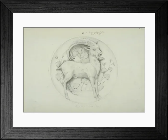 Framed Print : Mazama canepestris guaszuti design Framed Print : Mazama canepestris guaszuti design