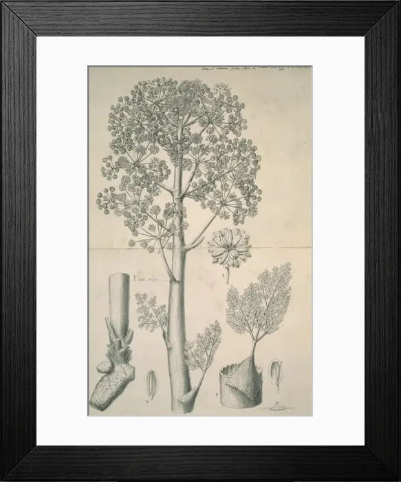 Framed Print : Wealden Landscape Framed Print : Wealden Landscape