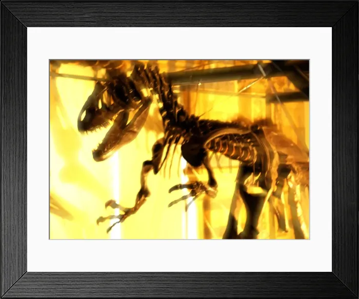 Framed Print : Allosaurus Framed Print : Allosaurus
