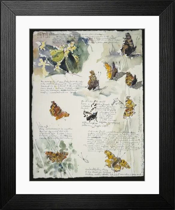 Framed Print : 20th Century Art: Wildlife sketch no. 4, by David Measures Framed Print : 20th Century Art: Wildlife sketch no. 4, by David Measures