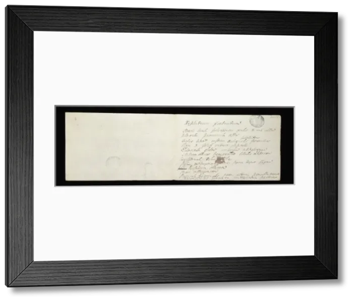 Framed Print : Wachendorfia Framed Print : Wachendorfia