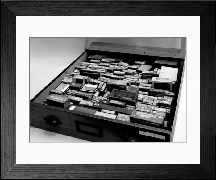 Framed Print : Drawer of botanical specimens Framed Print : Drawer of botanical specimens