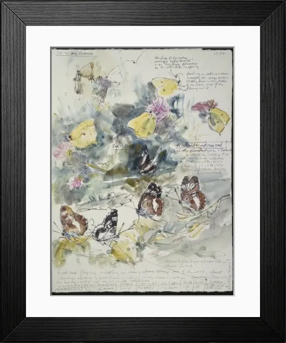 Framed Print : 20th Century Art: Wildlife sketch no. 39, by David Measures Framed Print : 20th Century Art: Wildlife sketch no. 39, by David Measures