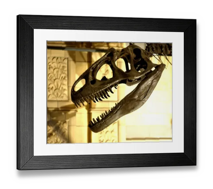 Framed Print : Allosaurus Framed Print : Allosaurus