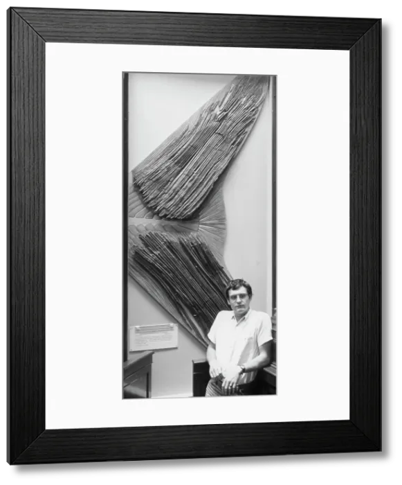 Framed Print : Leedsichthys problematicus Framed Print : Leedsichthys problematicus
