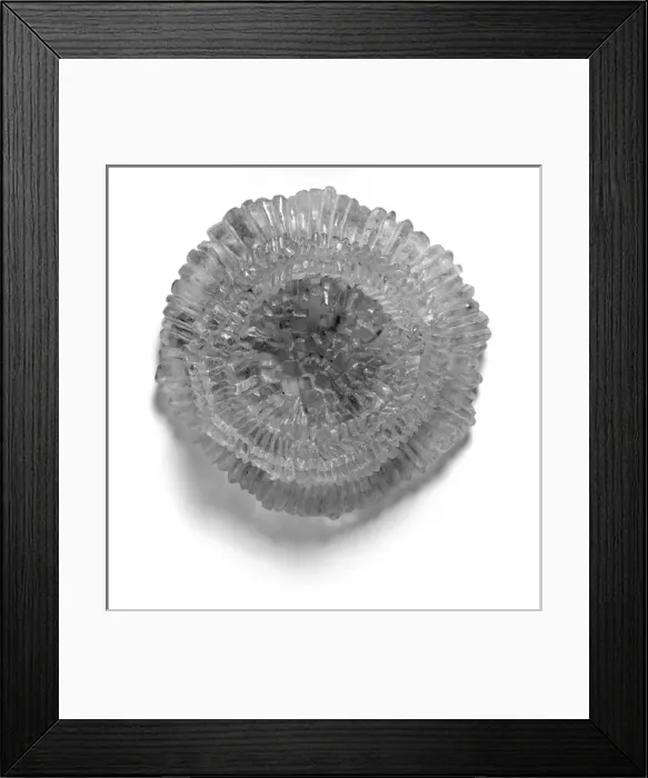 Framed Print : Model of coccolith Kamptnerius magnificus Framed Print : Model of coccolith Kamptnerius magnificus