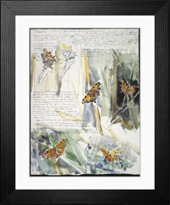 Framed Print : 20th Century Art: Wildlife sketch no. 34, by David Measures Framed Print : 20th Century Art: Wildlife sketch no. 34, by David Measures
