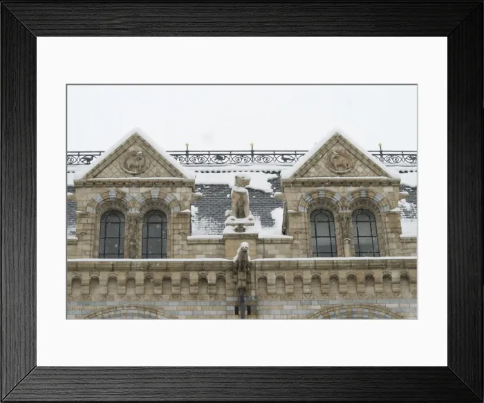 Framed Print : The Natural History Museum, London Framed Print : The Natural History Museum, London