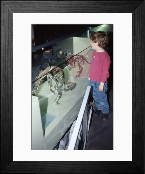 Framed Print : Visitors at the Natural History Museum, London Framed Print : Visitors at the Natural History Museum, London