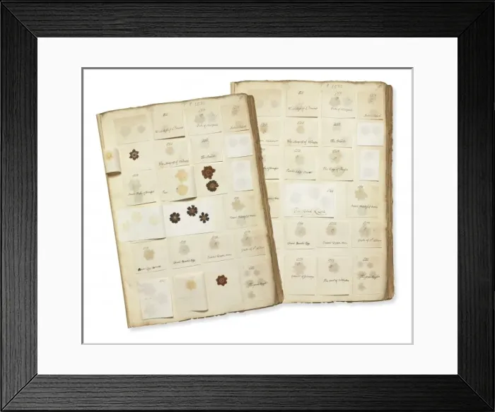 Framed Print : Pressed Auricula specimens Framed Print : Pressed Auricula specimens