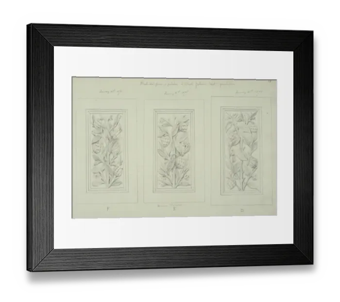 Framed Print : Plant. Drawing by Alfred Waterhouse for the ornamentation of the Natural History Museum Framed Print : Plant. Drawing by Alfred Waterhouse for the ornamentation of the Natural History Museum
