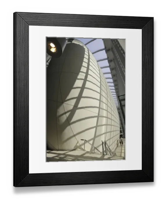 Framed Print : The Darwin Centre at the Natural History Museum, London Framed Print : The Darwin Centre at the Natural History Museum, London