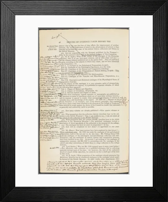 Framed Print : Parliamentary Enquiry into the Affairs of the British Museum Framed Print : Parliamentary Enquiry into the Affairs of the British Museum