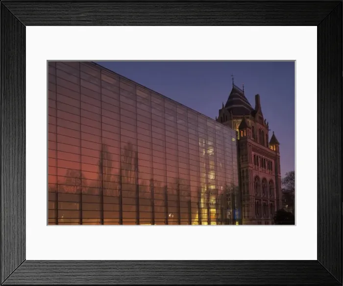 Framed Print : The Darwin Centre at the Natural History Museum, London Framed Print : The Darwin Centre at the Natural History Museum, London