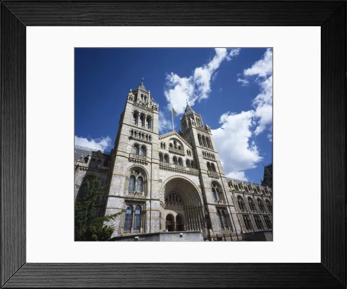 Framed Print : The Natural History Museum Framed Print : The Natural History Museum