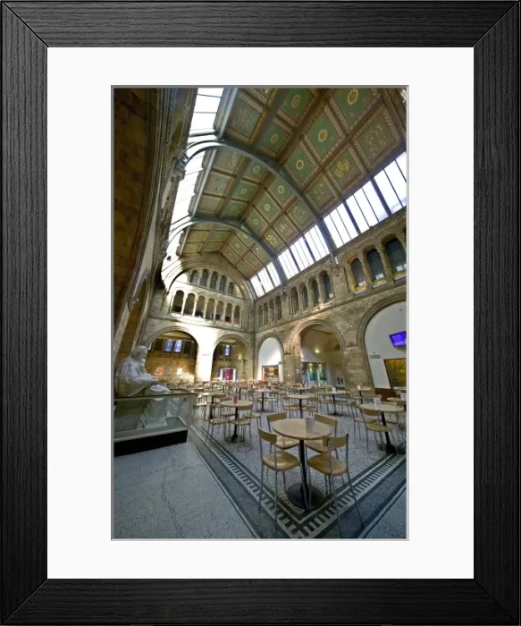 Framed Print : North hall cafeteria Framed Print : North hall cafeteria