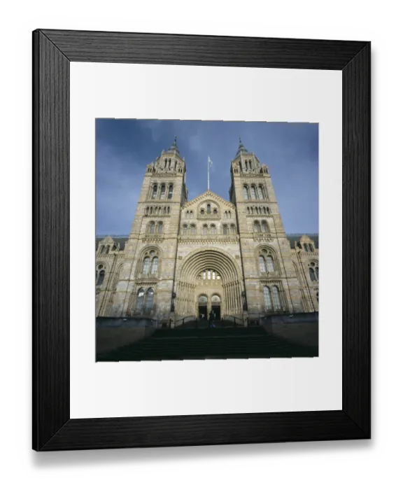 Framed Print : The Natural History Museum Framed Print : The Natural History Museum