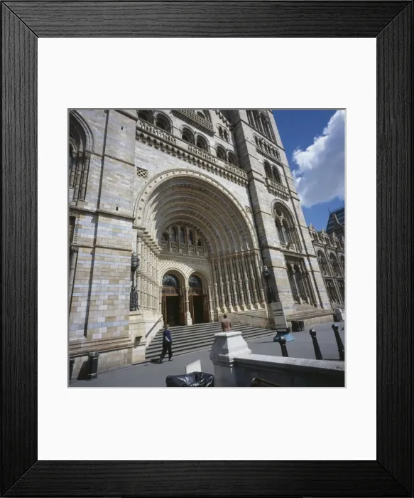 Framed Print : The Natural History Museum Framed Print : The Natural History Museum