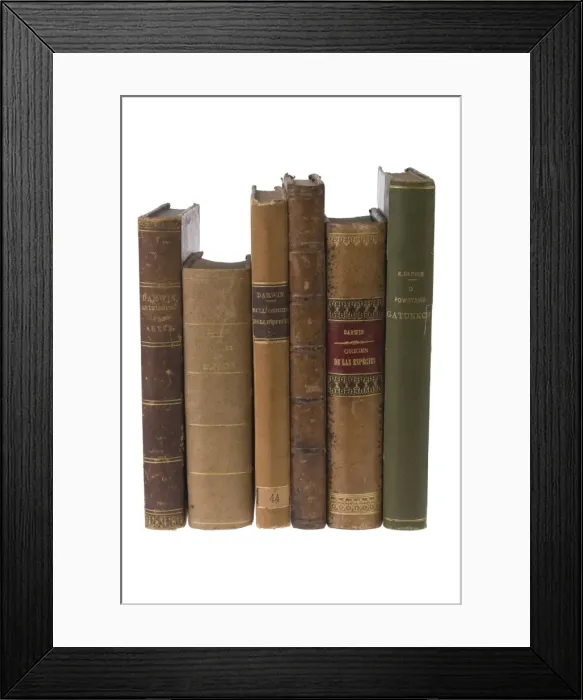 Framed Print : The Origin of Species Framed Print : The Origin of Species