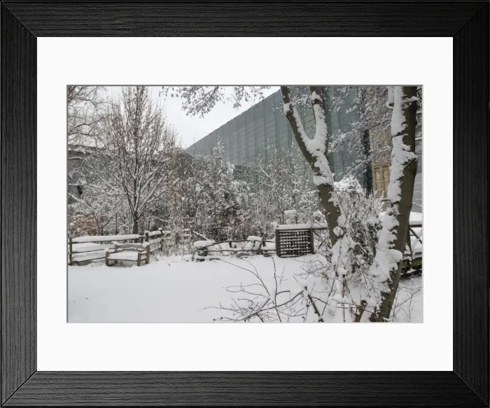 Framed Print : The Darwin Centre at the Natural History Museum, London Framed Print : The Darwin Centre at the Natural History Museum, London