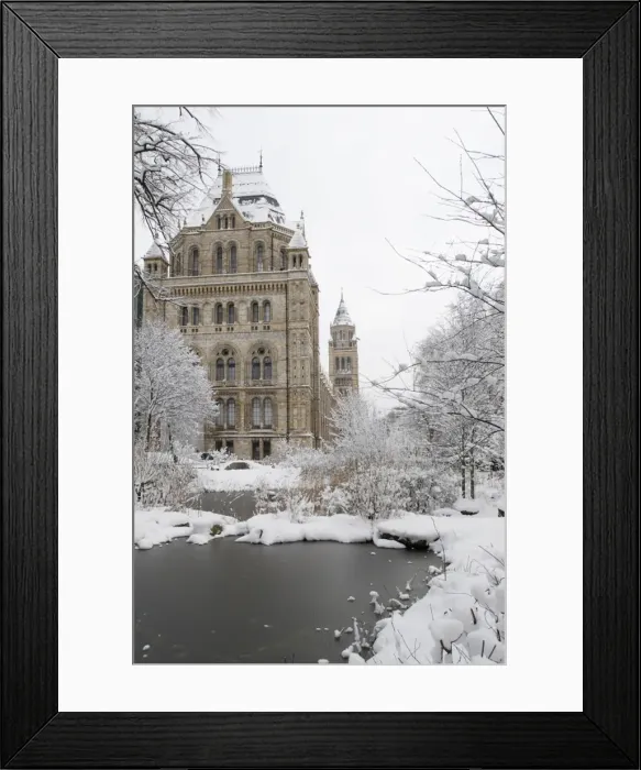 Framed Print : The Wildlife Garden Framed Print : The Wildlife Garden