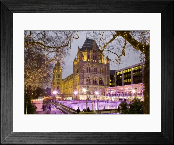 Framed Print : The ice rink at the Natural History Museum, London Framed Print : The ice rink at the Natural History Museum, London