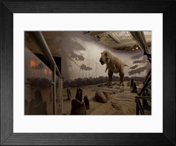 Framed Print : Tyrannosaurus rex Framed Print : Tyrannosaurus rex