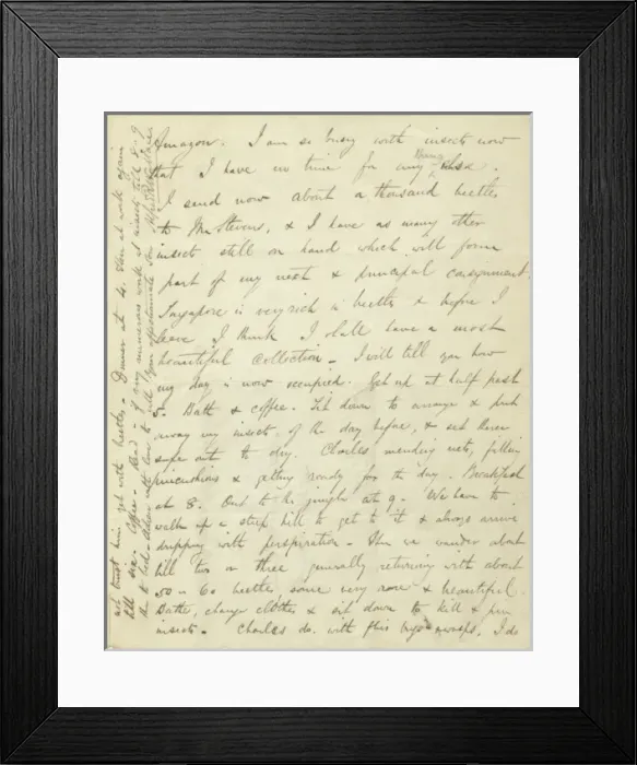 Framed Print : Letter from A. R. Wallace to his mother, 28 May 1854 Framed Print : Letter from A. R. Wallace to his mother, 28 May 1854