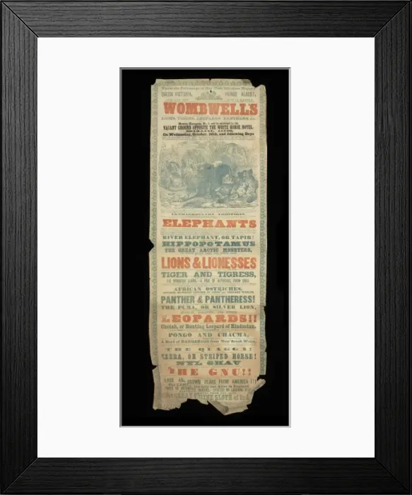Framed Print : Wombwells Royal National Zoological Establishment Framed Print : Wombwells Royal National Zoological Establishment